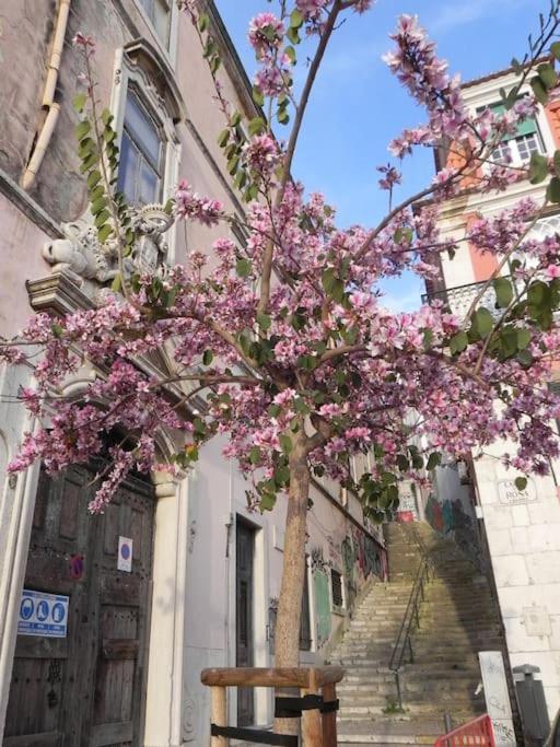 Apartament To+1 Dowtown Lisboa 外观 照片