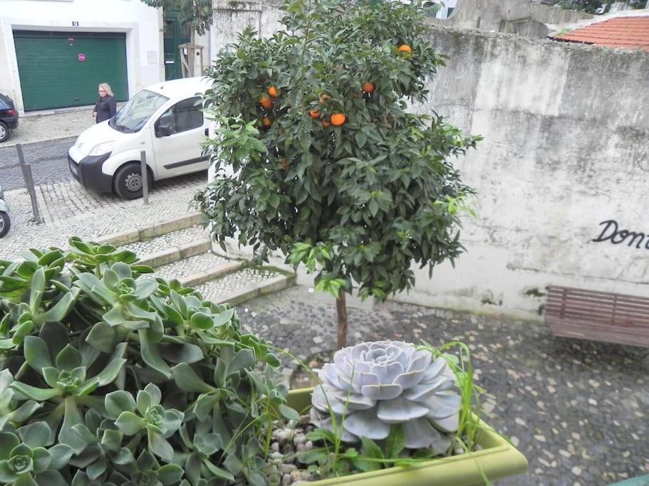 Apartament To+1 Dowtown Lisboa 外观 照片
